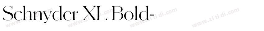 Schnyder XL Bold字体转换 Schnyder XL Bold字体转换